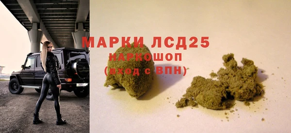 прущие грибы Красноперекопск