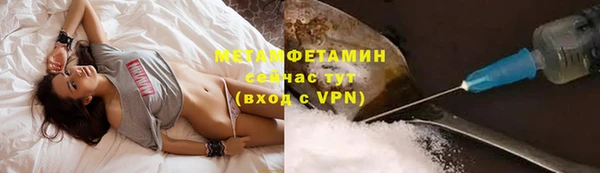 прущие грибы Красноперекопск