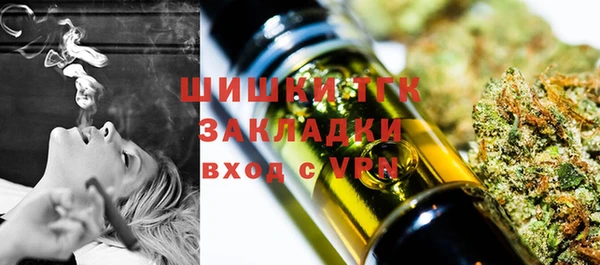 шишки Краснослободск