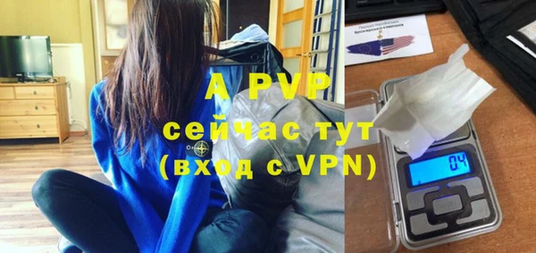шишки Краснослободск