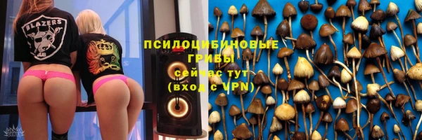 прущие грибы Красноперекопск