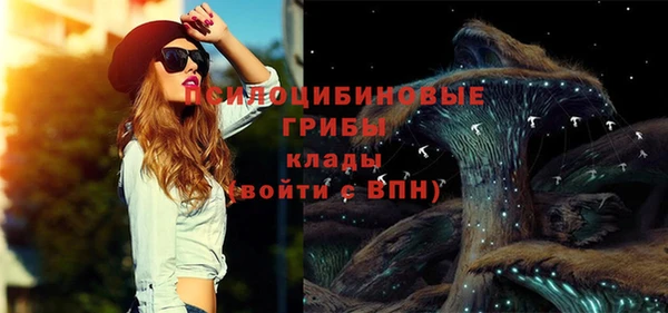 прущие грибы Красноперекопск