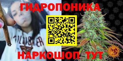 шишки Ливны