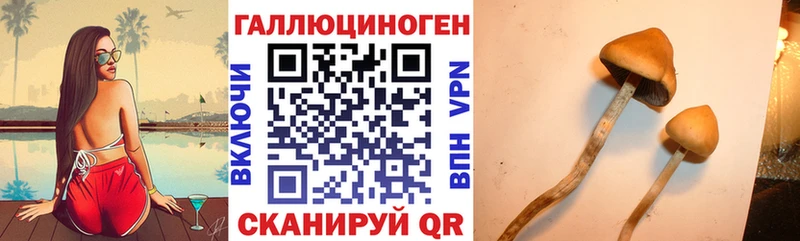 Псилоцибиновые грибы прущие грибы Тара