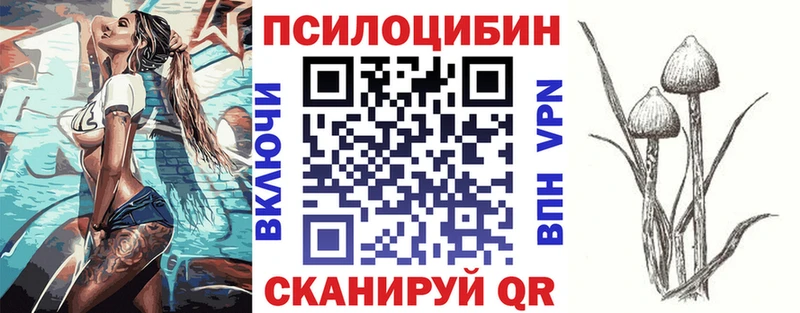 Купить где  Тара  Галлюциногенные грибы GOLDEN TEACHER 