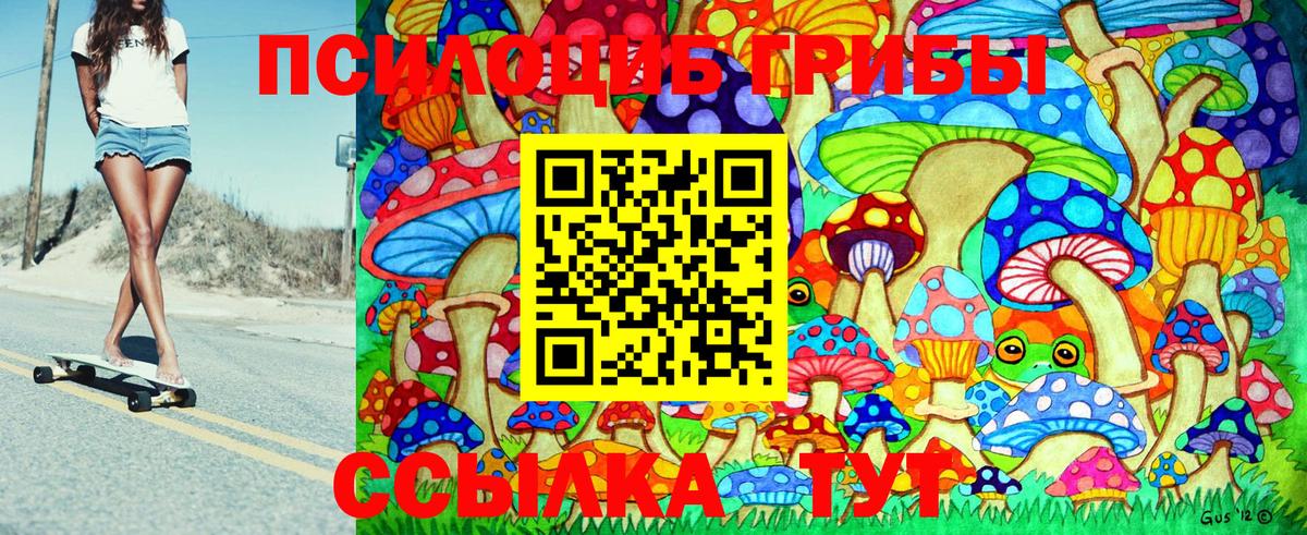 Псилоцибиновые грибы мицелий  Тара 