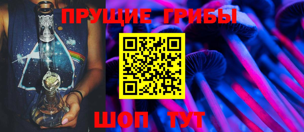 Псилоцибиновые грибы Psilocybe Тара