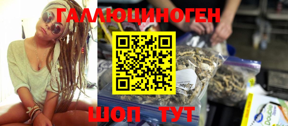 Тара  Псилоцибиновые грибы прущие грибы  Псилоцибиновые грибы MAGIC MUSHROOMS  Вход с VPN 