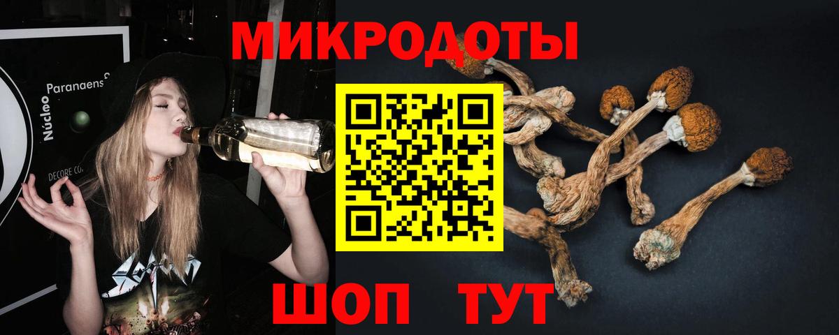 Галлюциногенные грибы Magic Shrooms Тара