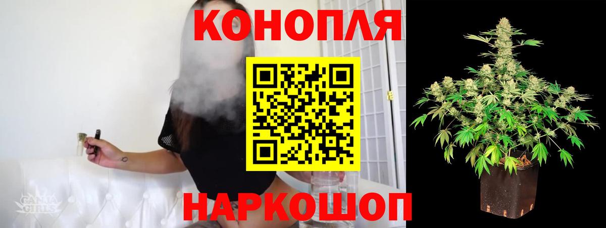 Конопля план  Вход с VPN  Тара  Каннабис планчик  Бошки Шишки LSD WEED  Марихуана семена 